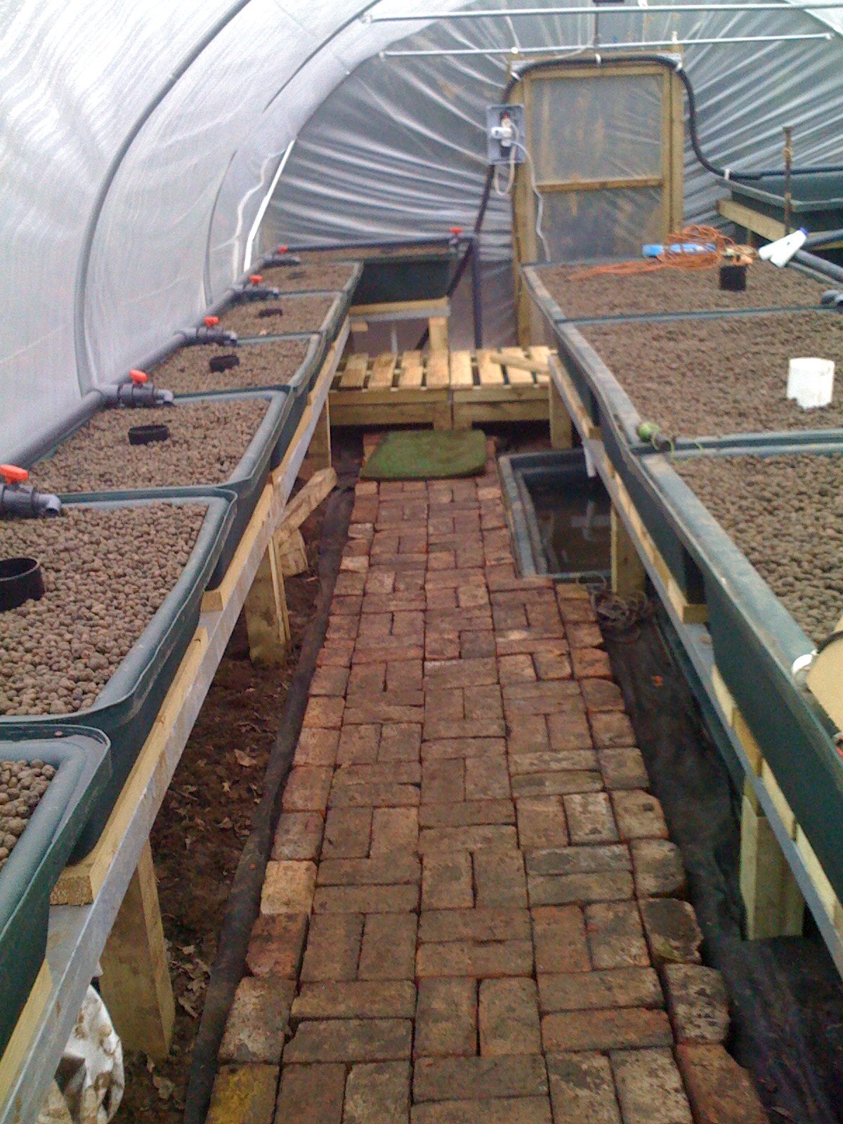Greenhouse/Polytunnel | Garden Aquaponics in the UK