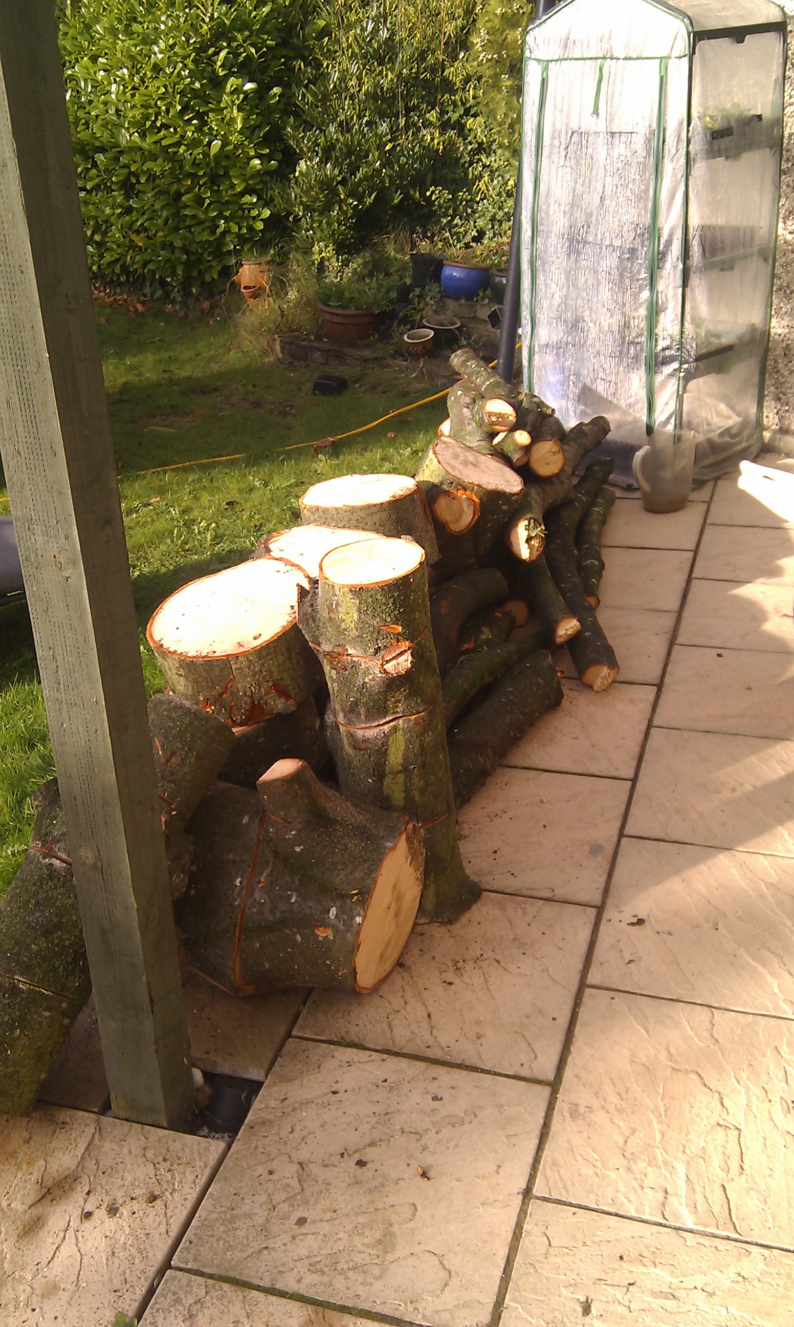 Here’s the result, a good pile of split logs ready for our yet-to 